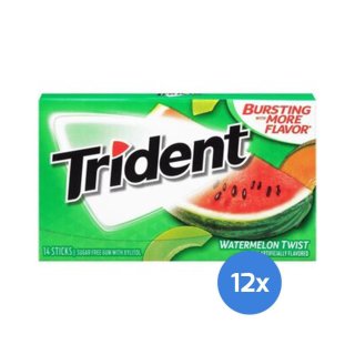 Trident - Watermelon Twist - 12 x 14 St&uuml;ck