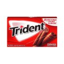Trident - Cinnamon - 14 St&uuml;ck