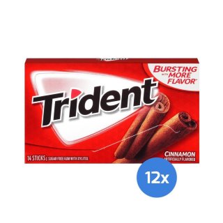 Trident - Cinnamon - 12 x 14 St&uuml;ck