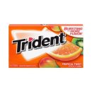 Trident - Tropical Twist - 14 St&uuml;ck