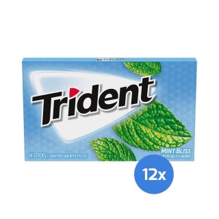 Trident - Mint Bliss - 12 x 14 St&uuml;ck